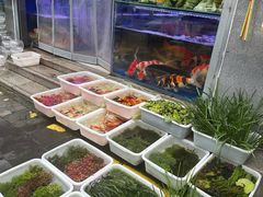 -青石桥花鸟鱼虫市场(叠翠城店)