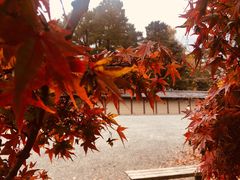 -京都御所