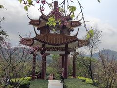 -深圳仙湖植物园