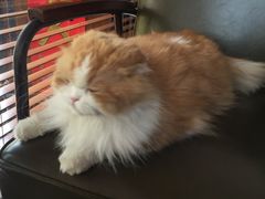 -在湖边私厨小馆