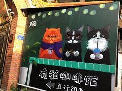 -有猫主题·治愈系猫咖(曾厝垵店)