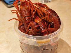 -杨氏青龙虾·羊蝎子(珠江路店)