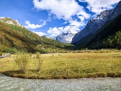 -稻城亚丁景区-冲古草甸