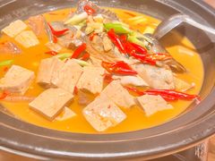 -7017浙菜•建德味(中财店)