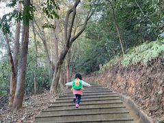 -福神岗公园