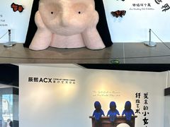 -辰熙ACX星海艺术中心
