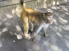 -黔灵山公园