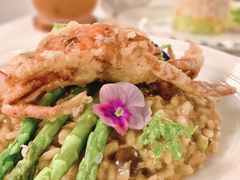 -Oasis Bar & Grill