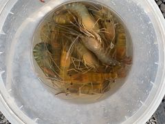 -DGE季风钓虾营地·团建·聚会