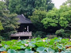 大堂-杭州西子湖四季酒店·金沙厅
