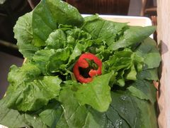 -老灶堂文创火锅(文艺路店)