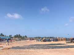 -尼甘布海鲜市场