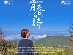-武陵山森林公园
