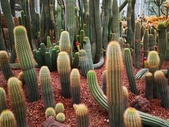 -南通洲际绿博园