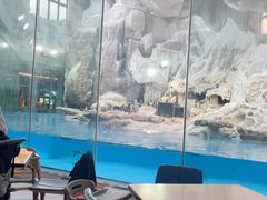 -帝企鹅自助餐厅•儿童岛•真企鹅(长隆企鹅酒店)