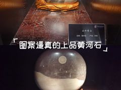 -中华赏石园