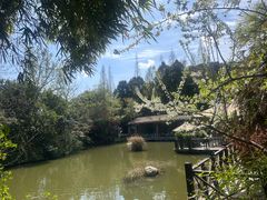 -茅庐·川粤精品私房菜(金沙遗址店)