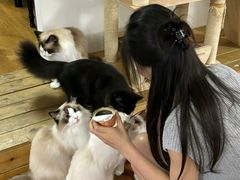 -宫七SPA·高端Massage(浦东大道店)