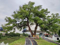 -乌龙涧铁道铁轨景