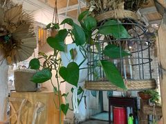 大堂-桃花坞·私房菜餐厅(龙湖时代天街店)