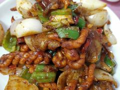 麻花回锅肉-乐乐餐厅(湘子庙街店)
