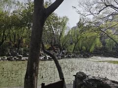 -莲湖公园