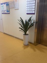 -安徽合肥韩美整形外科医院