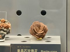 -中国地质博物馆