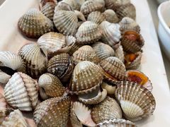 血蛤-华盛丰温州大排档(东三环南路店)