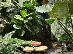 -漫笙舍Manse·咖啡·民宿