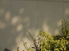 -福道