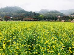 -红山村
