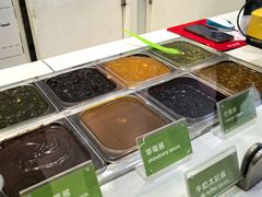 -Salud撒露欧洲冻酸奶(蓝色港湾店)