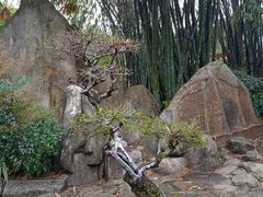 -南岳大庙