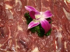 苏尼特手切羊后腿-珺小七铜锅涮肉(桃园路店)