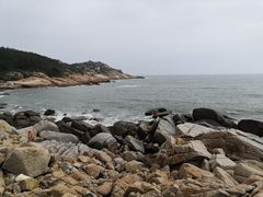 -广东惠东海龟国家级自然保护区