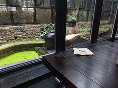 -Local泰莲庭(虹鳟鱼店)