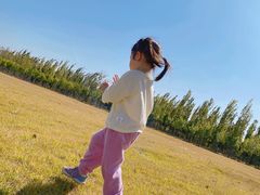 -甜心庄园·甜心草莓采摘园(西青中北店)