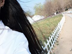 -莲花山花海