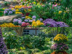 -上海共青森林公园