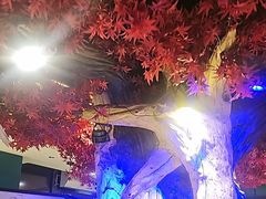 -老周家酱卤猪蹄私房菜(克拉玛依西街店)
