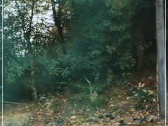 -井冈山风景名胜区-黄洋界