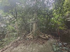 -七仙岭温泉国家森林公园