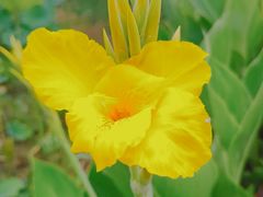 -陈家山荷花公园