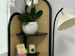 -静岸花卉园艺(三星坊店)