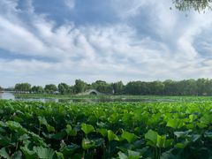 -长春市南湖公园