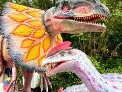 -海合安武汉极地海洋公园