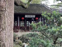 -上海醉白池公园