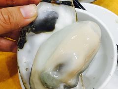 -蚝专家(北滘店)
