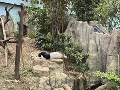 -河川生态园